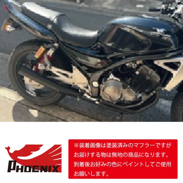 Amazon | バリオス2 フェニックスレーシング ショート管 無地 【SP